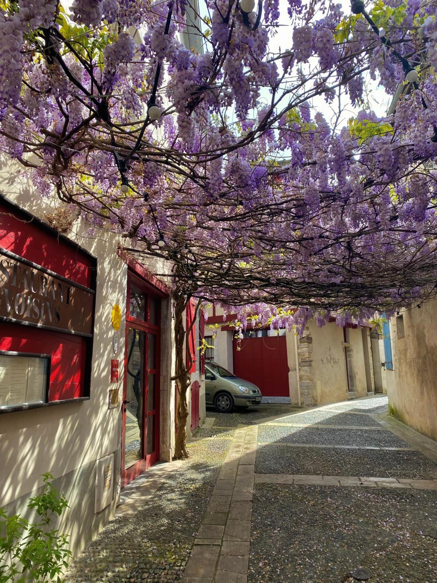 Agréable petit gîte avec piscine Salies-de-Béarn Extérieur photo